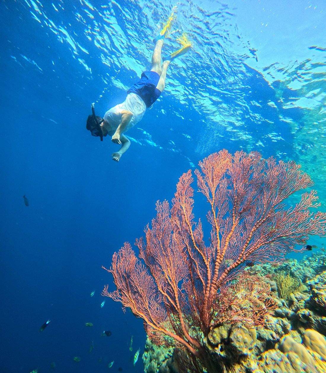 Package Image